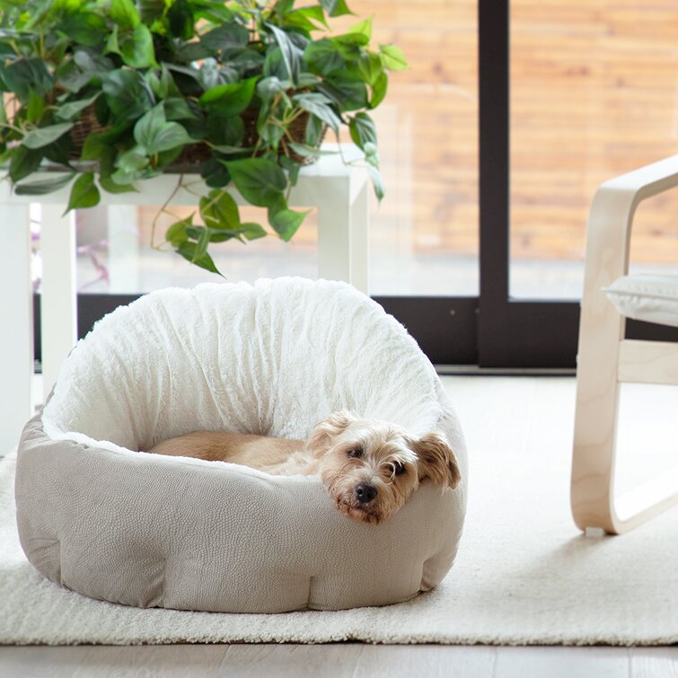 Deep dog bed sale